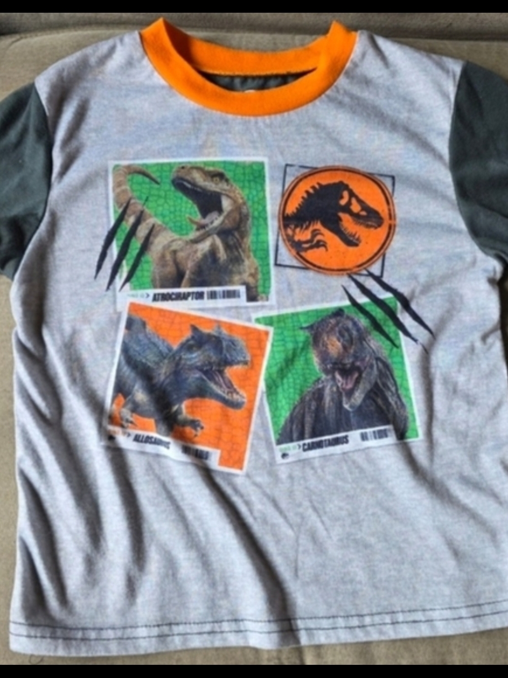 Boys Dinosaur Graphic Tee with Orange Trim